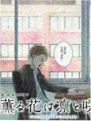 海岸线以北贴纸卡封面，都市情感题材字幕剧集
